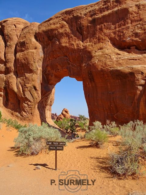 Arches National Park
Mots-clés: AmÃ©rique;AmÃ©rique du Nord;Etats-Unis;USA;Utah;Arches National Park;parc national