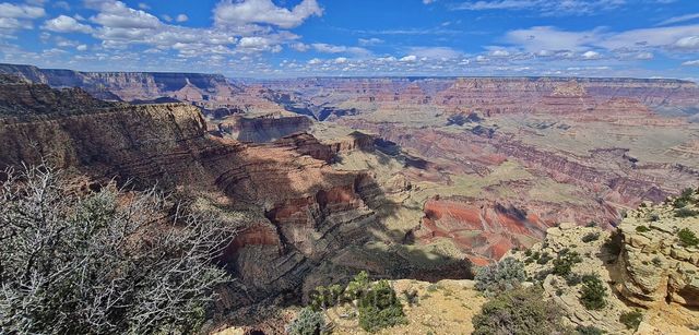 Grand Canyon National Park
Mots-clés: AmÃ©rique;AmÃ©rique du Nord;Etats-Unis;USA;Utah;Grand Canyon National Park;parc national;Colorado